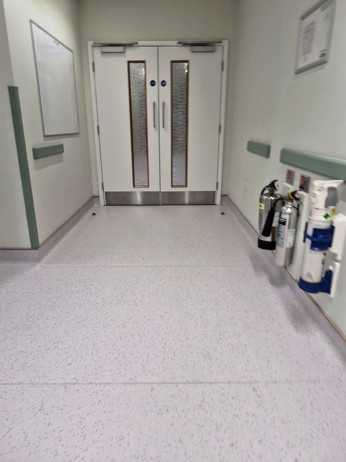 Healthcare Sector